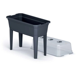 Set per semenzaio rialzato Ecoline antracite con gambe e coperchio trasparente.
