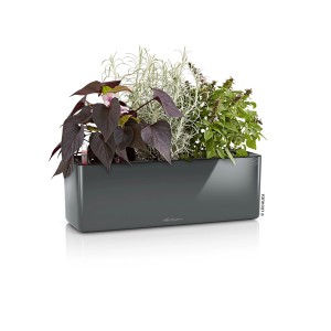 Pot de fleurs Lechuza Cube Glossy Triple, anthracite, planté d'herbes aromatiques et de plantes ornementales.