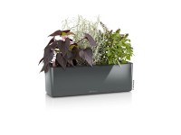 Lechuza Pflanztopf Cube Glossy Triple Anthrazit (HxBxT) 135 x 397 x 140 mm