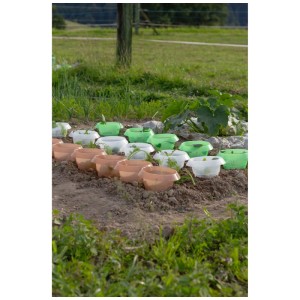 Lo Schnecken-Stopp in PP trasparente protegge le giovani piante dalle lumache in giardino.
