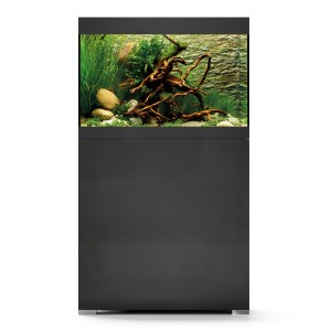 Oase Aquarium-Set StyleLine 125 noir avec meuble et intérieur.