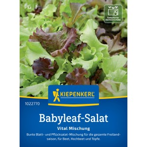 Graines de laitue Babyleaf "Vital Mix" Kiepenkerl, feuilles colorées pour plates-bandes, potagers surélevés et pots.