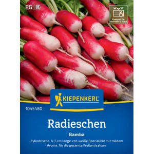 Graines de radis Kiepenkerl Bamba : Radis rouges oblongs à pointes blanches.