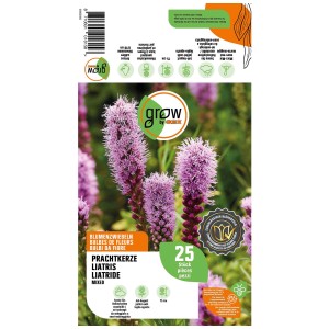 Grow by OBI Liatride Mixed, 25 bulbi da fiore con spighe di fiori viola.