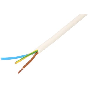 Câble TD blanc H05VV-F 3x1,0 mm² (10 m) avec conducteur interne bleu, jaune-vert et marron.