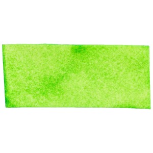 Trixie Denta Fun strisce masticabili con alghe spirulina, snack dentale per cani