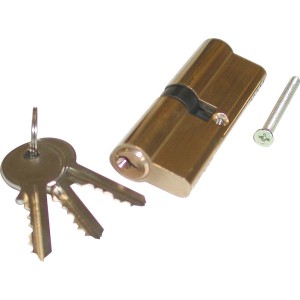 Cylindre profilé 40/40 avec 3 clés et vis pour serrure de porte.