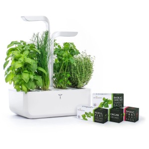 Véritable Indoor Garden Classic con LED ed erbe aromatiche come basilico, erba cipollina, prezzemolo e timo.