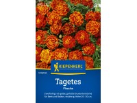 Kiepenkerl Studentenblume Fiesta Orangerot Kiepenkerl Studentenblume Fiesta Orangerot