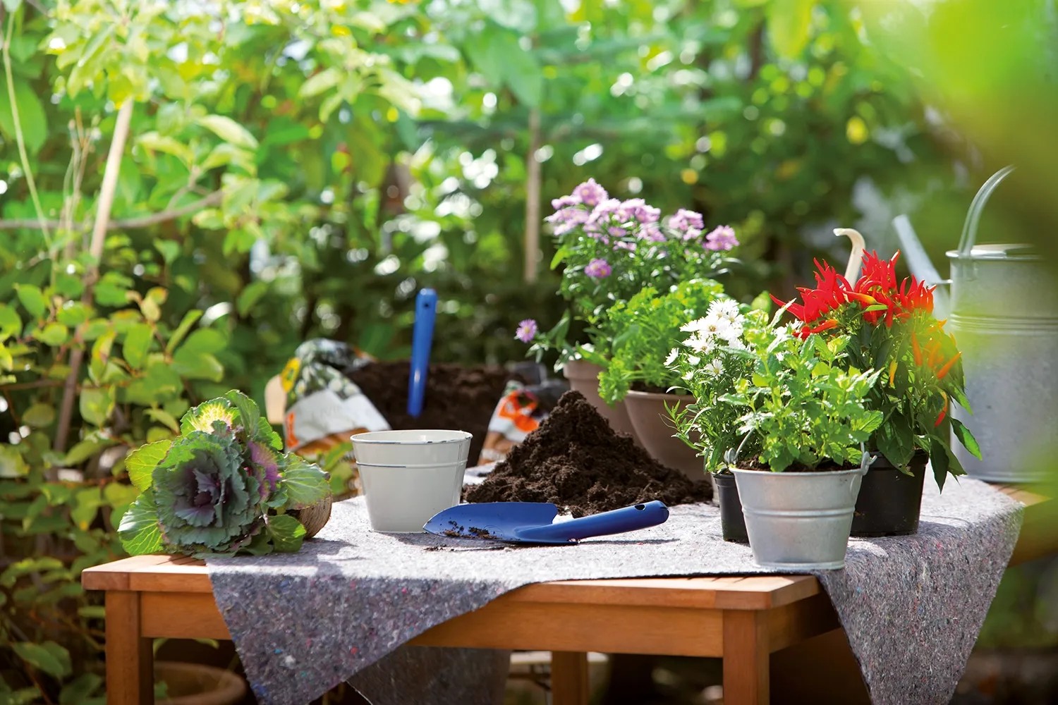 AONELAS Schattiergewebe-Rolle Für Garten, Terrasse, Gewächshaus – 1,52 M X 30,5 M, 60% Sonnenschutz, UV-Blocker