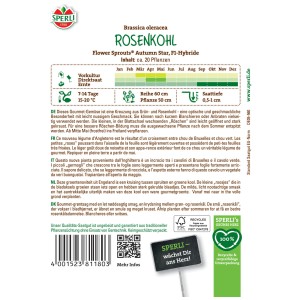 Sperli choux de Bruxelles Flower Sprouts® Autumn Star, graines pour 20 plantes. Légume aux rosettes frisées.