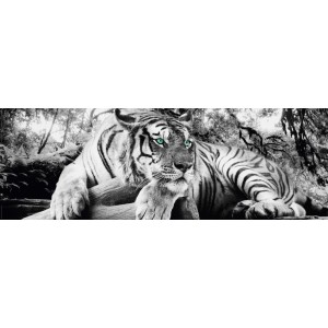 Pannello decorativo: Immagine di tigre in bianco e nero con occhi verde brillante, 52x156 cm.