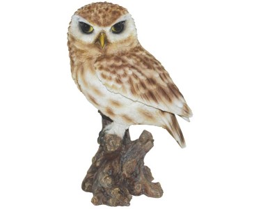 chouette ☆  523818_1905968_P00.jpg