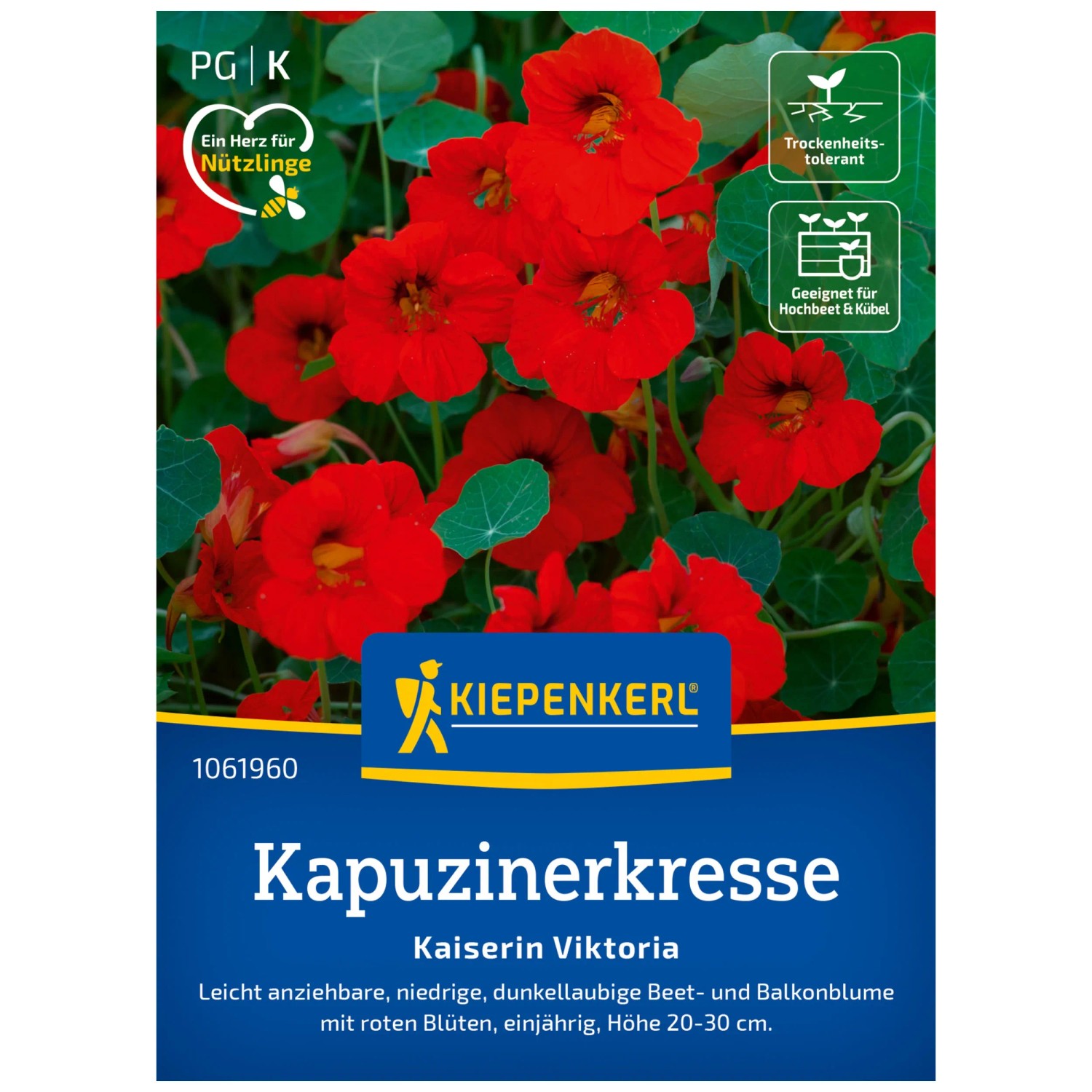 knstlicher tannenkranz 60 cm Tannenkranz Weihnachtskranz Knstlicher Trkranz mit LED und Schleife,   Premium Box GmbH