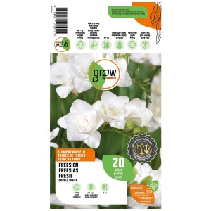 Confezione Grow by OBI Freesie Double White, 20 bulbi di fiori con fiori bianchi.