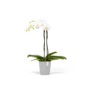 Pot pour orchidées Ecopots Morinda, blanc-gris, 14 cm. Orchidée élégante en pot pour intérieur et extérieur.