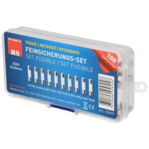 Jeu de fusibles temporisés 5x20mm, 100 pièces dans un boîtier plastique transparent.