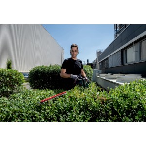 Mann schneidet Hecke mit Metabo Akku-Heckenschere HS 18 LTX BL 65. Leistungsstark und kabellos.