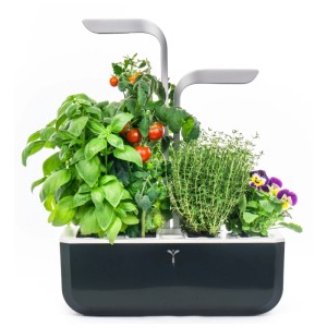 Véritable Smart Indoor Herb Garden nero con basilico, pomodori, timo e viole del pensiero.