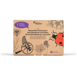 Set per l'allevamento di coccinelle Andermatt Biogarten Adalia in confezione di cartone con illustrazioni.