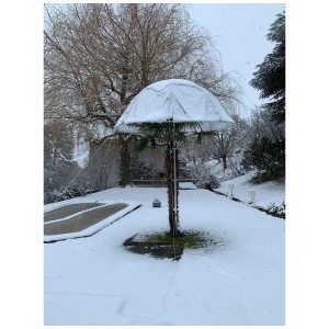Palmenhut Basic in giardino invernale sotto la neve, protezione per il cuore della palma, regolabile in altezza.