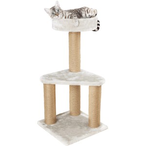 welches ist das beste nassfutter für hunde Gesundes Hundefutter bestellen mit Rind & Gemüse main image 1