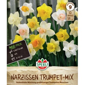 Sperli Trompeten-Narzissen Mischung, verschiedene Farben, 15 Stück.