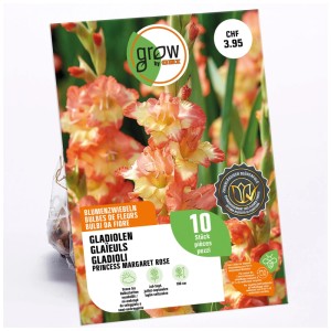 GROW by OBI Gladiolo Princess Margaret Rose, bulbi giallo-rossi, 10 pezzi.