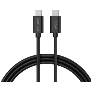 Câble USB-C EcoFlow, accessoire chargeur rapide, argent, 100W