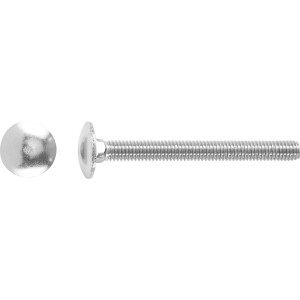 Bullone a testa tonda M6 x 30 mm, acciaio inox A2, con testa tonda e filettatura.