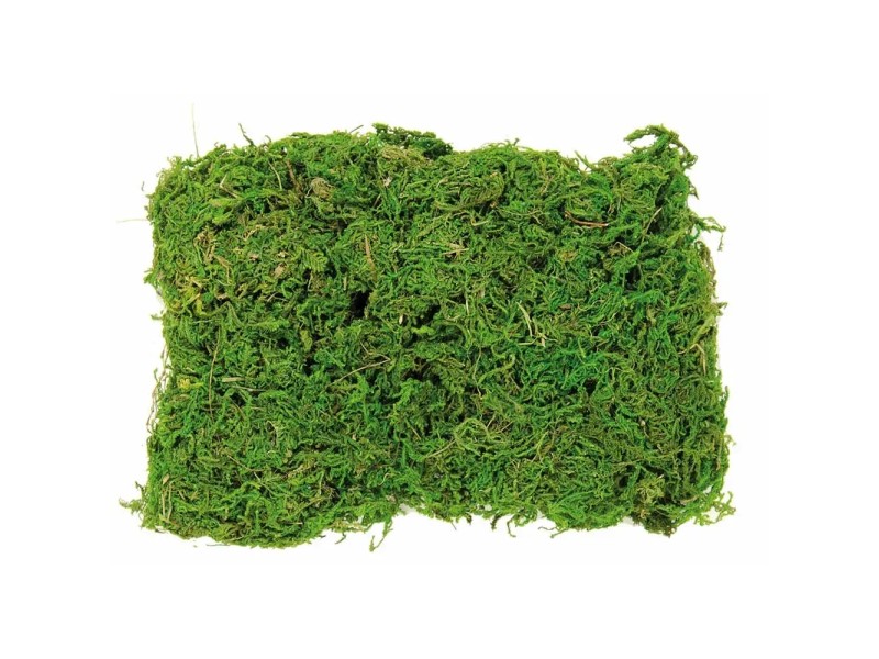 Moos Beutel 50 g