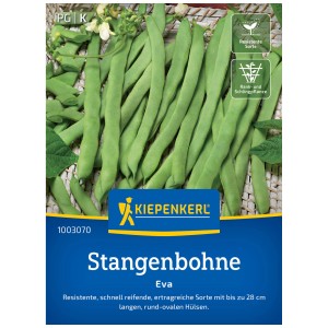Seme di fagiolino rampicante Kiepenkerl Eva: confezione con fagioli verdi, lunghi e fiori.