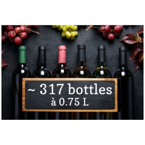 Wein-Flaschen vor dunklem Hintergrund mit Trauben, passend zum Trisa Weinkühlschrank.