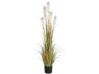 Mica Decorations Kunstpflanze Federgras Foxtail Grün Topf Ø 70 cm / Höhe 150 cm