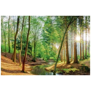 Maxiposter Spring Woods: Waldposter mit Bachlauf und Sonnenlicht, 61x91,5 cm.