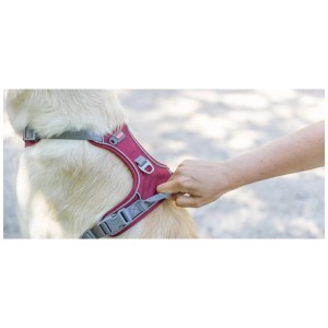 Pettorina per cani Trixie Premium Active in Sangria, regolabile per un comfort ottimale.