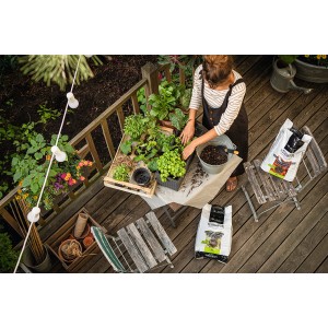 Donna che pianta piante in vaso con terriccio Lechuza Terrapon su una terrazza di legno.