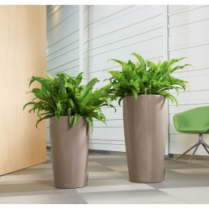 Deux pots de fleurs Lechuza Rondo Premium taupe brillant avec des plantes vertes.