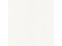 Vielzweck-Kompaktplatte Holz Weiss 139 x 62 cm / Stärke 0,3 cm