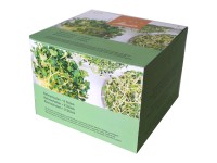 Samen Mauser Keimschale Duo Glas Ø 12,5 cm / 2er-Set