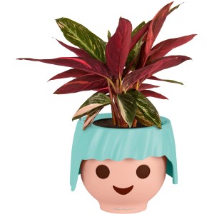 Vaso per piante Lechuza Ojo acquamarina, 21 cm, con pianta. Vaso decorativo in stile Playmobil.