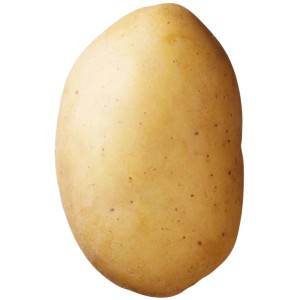 Patata da semina Erika, soda, buccia gialla, ideale per insalata di patate.