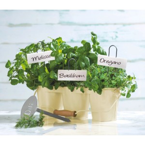 Étiquettes pour plantes OBI, 5 étiquettes blanches pour herbes aromatiques comme le basilic, la mélisse et l'origan.