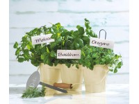 OBI Pflanzetiketten Weiss 5 Stk.