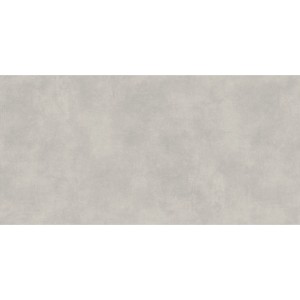 Piastrella da pavimento in gres porcellanato grigio Silver peak, 59,8x119,8 cm, effetto cemento opaco per interni ed esterni.
