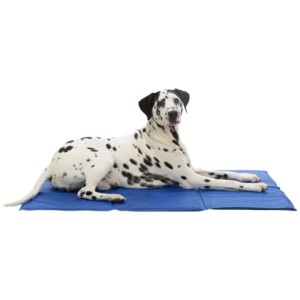 Dalmata rilassato su tappetino refrigerante blu Trixie 110x70 cm. Ideale per cani!