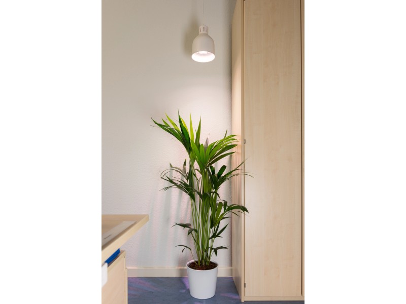 Achetez Plante à LED Intérieure Lumière E27 Plant de Base de Lampe Qui  Pousse Léger Pour Les Fleurs, Les Fruits, Les Plantes Succulentes - 48  Perles de Chine