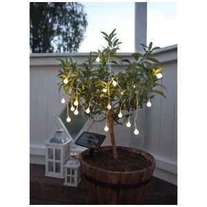 Star Trading Solar-Lichterkette Globini mit 20 warmweissen LEDs an kleinem Baum im Topf.