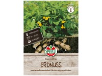Sperli Erdnuss Jimmy's Pride 10 g
