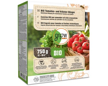 aloe barbadensis miller plant Organic Aloe Plant in 2.5-inch Pot, Aloe barbadensis Miller, Tender Su –  Jayme Garden main image 1